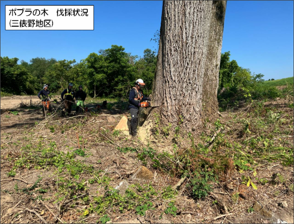 長岡地区河道掘削その１２工事 写真